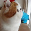 Фотография Булыкина Сергея