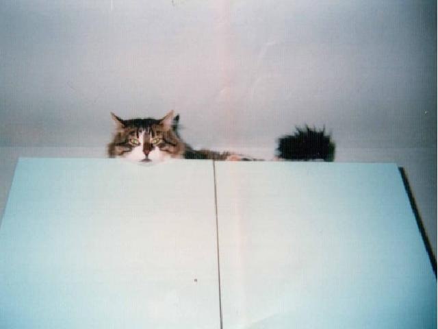 Дмитрий Соколов фотография #27