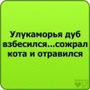 Ірина Ярміцька фотография #37 (источник - https://vk.com/id124413402)