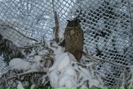 Анна Маркина фотография #39 (источник - https://vk.com/id1434636)