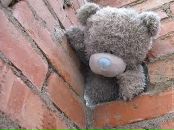 Діна Степаник фотография #1