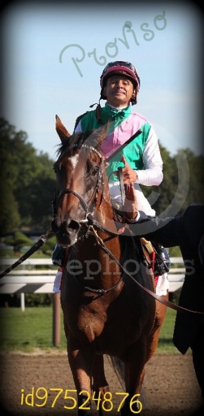 Proviso Mare фото №3