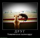 Сергій Фень фотография #39 (источник - https://vk.com/id30150316)