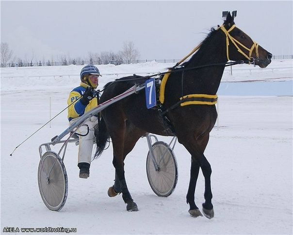 №18, Айрат Зи, Челябинск, Россия №18, Айрат Зи, Челябинск, Россия