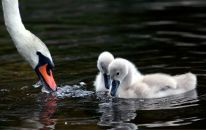 Фотография Богачкова Евгения