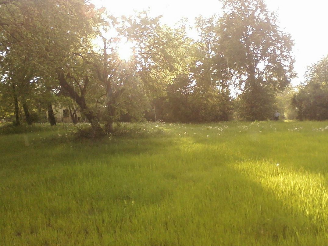 Дмитрий Омахоа фотография #20