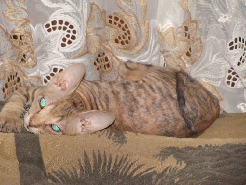 Сергей Остапенко фотография #12