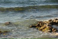 Марянка Дарійчук фотография #32 (источник - https://vk.com/id27715178)