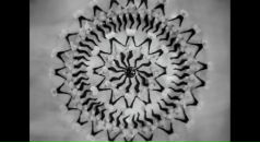 Фотография Сергиевского Андрея