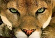 Фотография Циковой Светланы