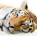 Софійка Гачок фотография #22 (источник - https://vk.com/id139633023)