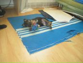 Льоня Кульбік фотография #3 (источник - https://vk.com/id25657080)