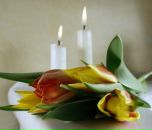 Фотография Куликовой Ольги