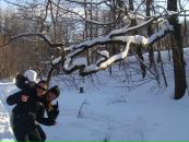 Фотография Premium Dasha