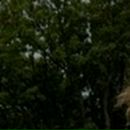 Іванна Веклюк фотография #49 (источник - https://vk.com/id136341372)