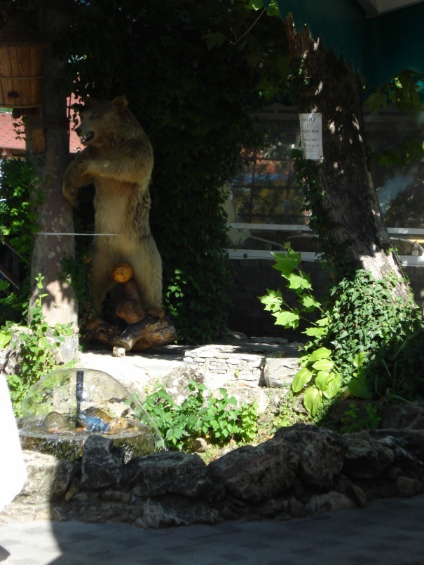 Сергей Сотников фотография #8