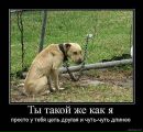 Ольга Вередін фотография #17 (источник - https://vk.com/id120300412)