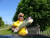 Фотография Токаревой Ирины