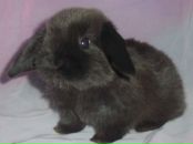 Фотография Горлановой Екатерины