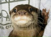 Фотография Kozlova Anna