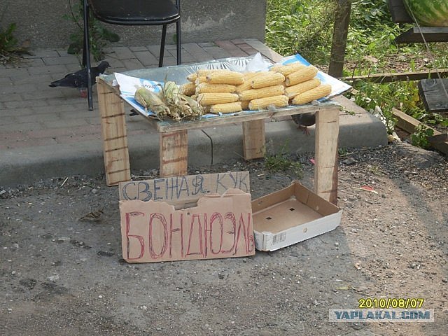 Тимур Тимофеев фотография #44