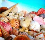 Фотография Льевр Марии