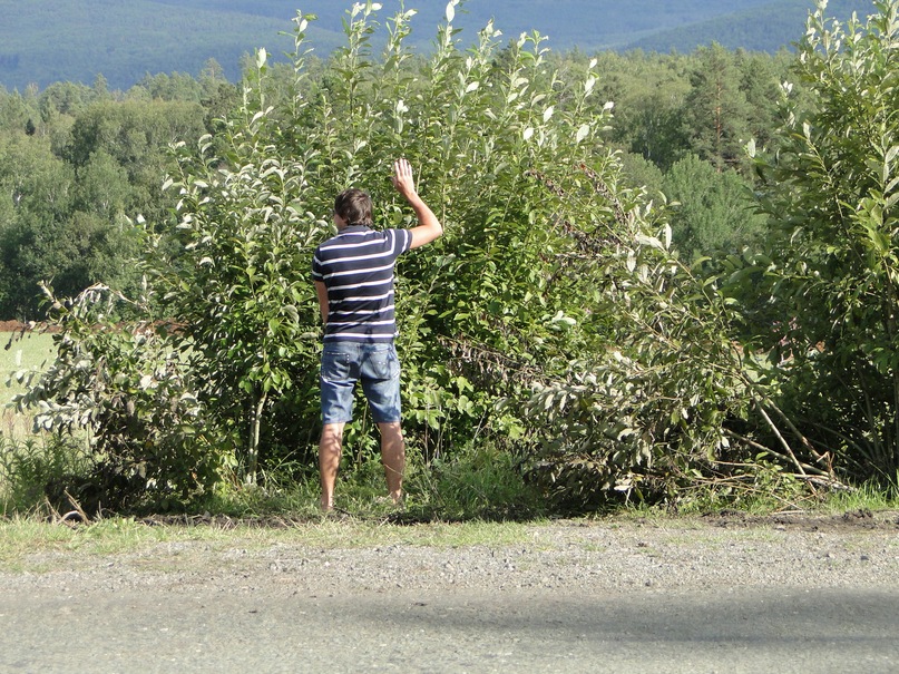 Андрей Белыш фотография #7