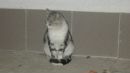 Ігор Косач фотография #7 (источник - https://vk.com/id12742285)