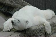 Лена >_< фотография #1