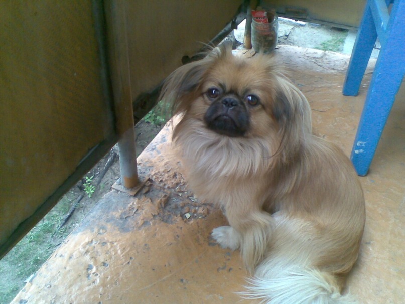 Булат Бубеев фотография #29