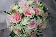 Фотография Овинкина Владислава