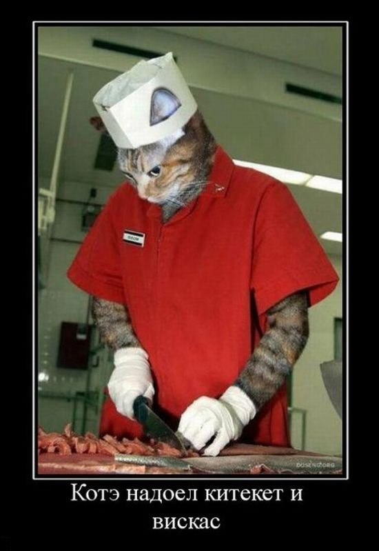 Михаил Копейка фотография #45