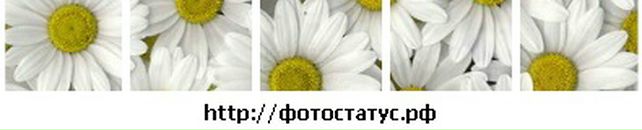 Аліна Опейда фотография #7 (источник - https://vk.com/id10900441)