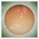 Фотография Raumskaya Глеба