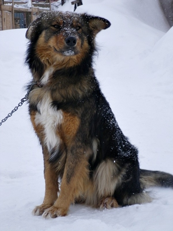 Софья Урманчеева фотография #46