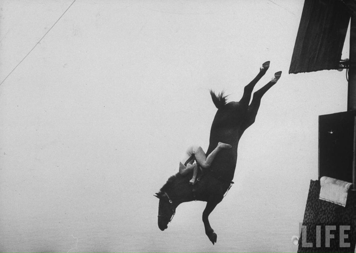 Фёдор Герлейн фотография #39