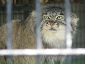 Фотография Ситниковой Марии