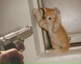 Данік Дідоренко фотография #45 (источник - https://vk.com/id99749792)