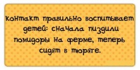 №12, Андрей Старицын, Петрозаводск №12, Андрей Старицын, Петрозаводск