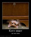 Фотография Karelin Misha
