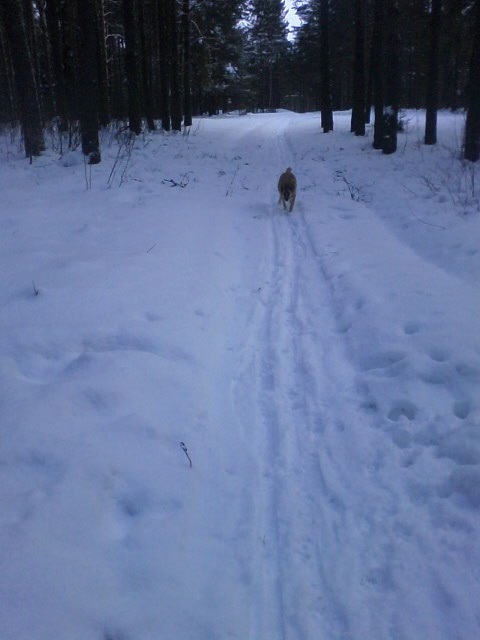 Дмитрий Щепков фотография #34