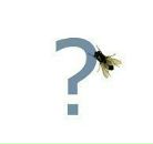 Фотография Пряхина Константина