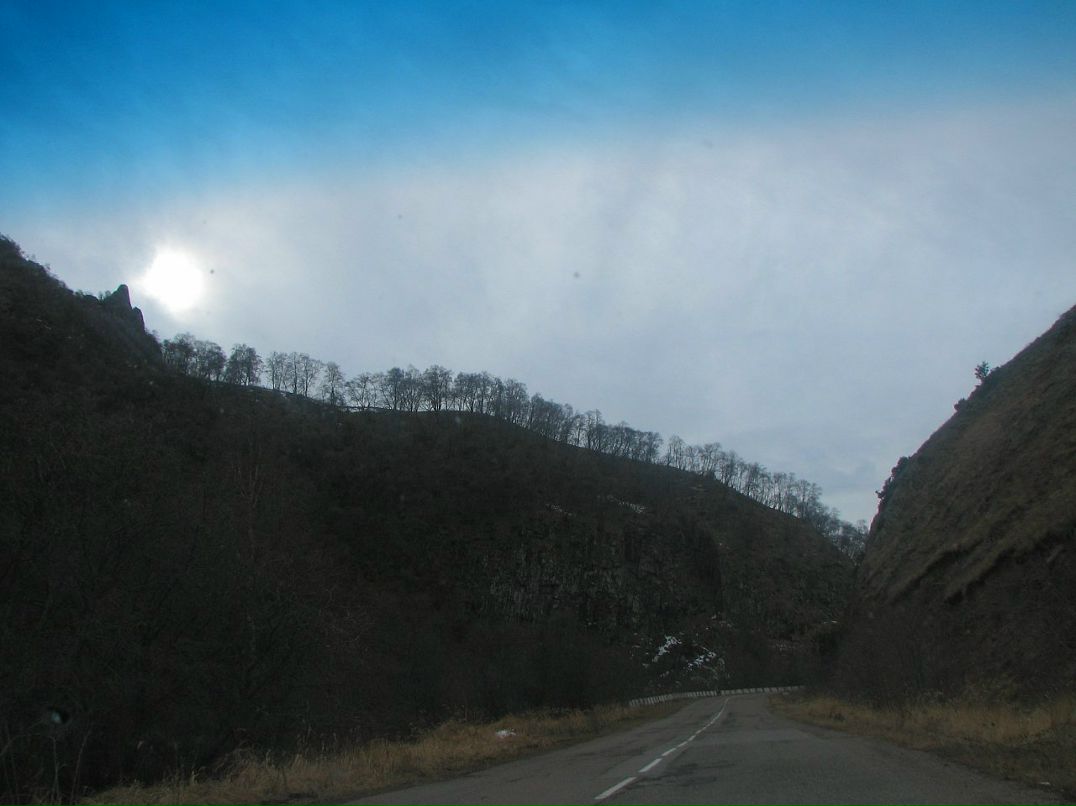 Никита Орлов фотография #16