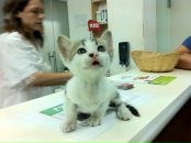 Ольга Приходько фотография #11 (источник - https://vk.com/id474264)