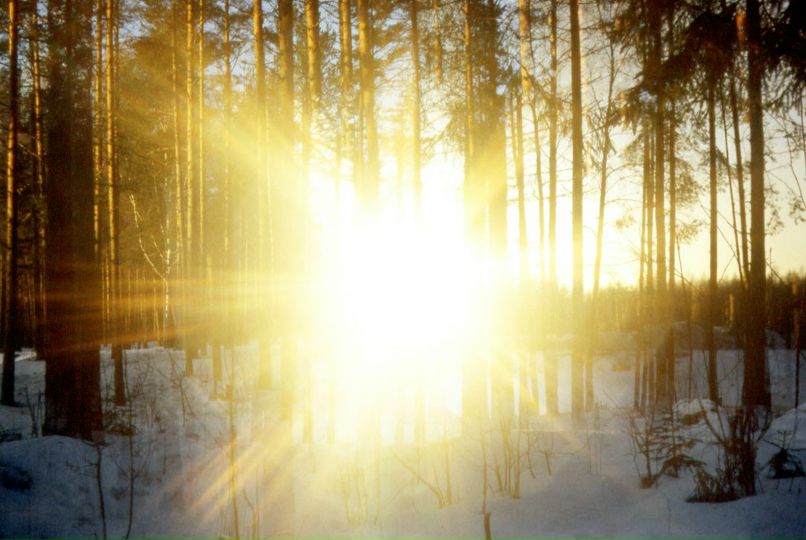 Альберт Зайнеев фотография #31