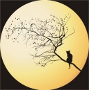 Фотография Лемкин Александр