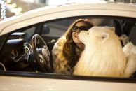 Фотография Сычёвой Даши