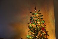 Фотография Коробковой Евгении