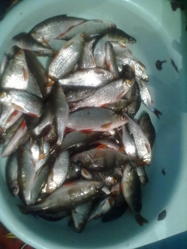 Дмитрий Вишняков фотография #27