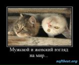 Фотография Суровой Елены